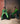 Forest Green Set